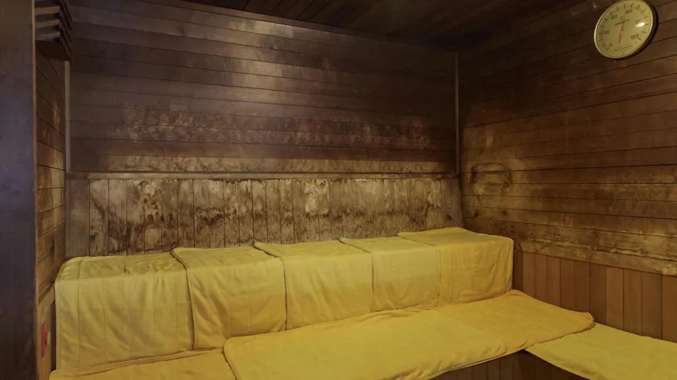 Morioka Tsunagi Onsen Aishinkan