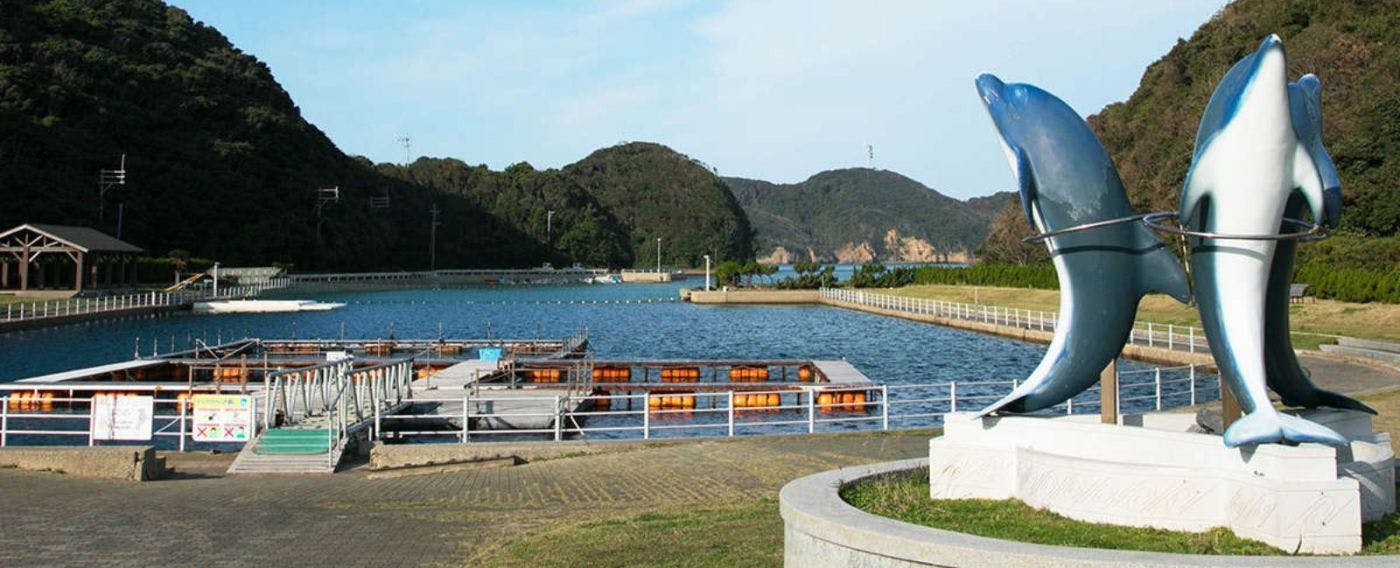 이키 돌고래 파크 & 리조트