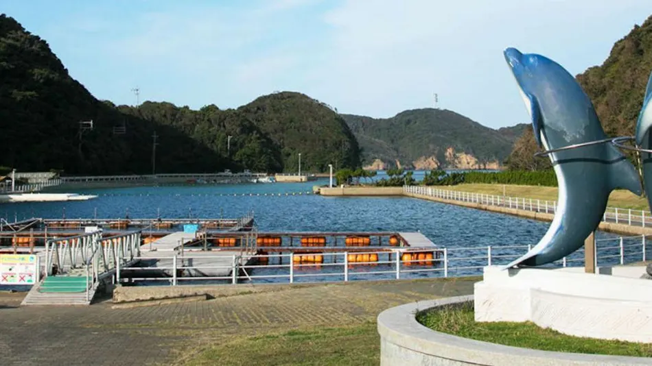 Iki stellacote TAIANKAKU