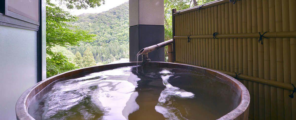 Takuhide Inn: Famous and Hidden Hot Spring Unagi-yu