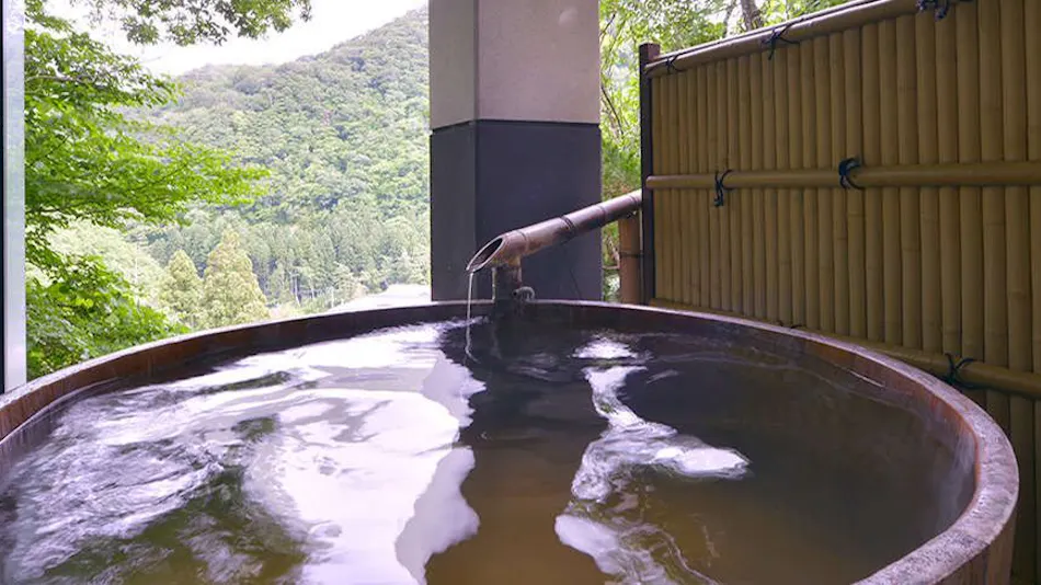 Takuhide Inn: Famous and Hidden Hot Spring Unagi-yu