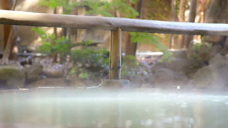 Tokura Kamiyamada Onsen Club Wyndham Chikuma-kan Nagano (formerly Tokura Kamiyamada Onsen Yuko Chikuma-kan)