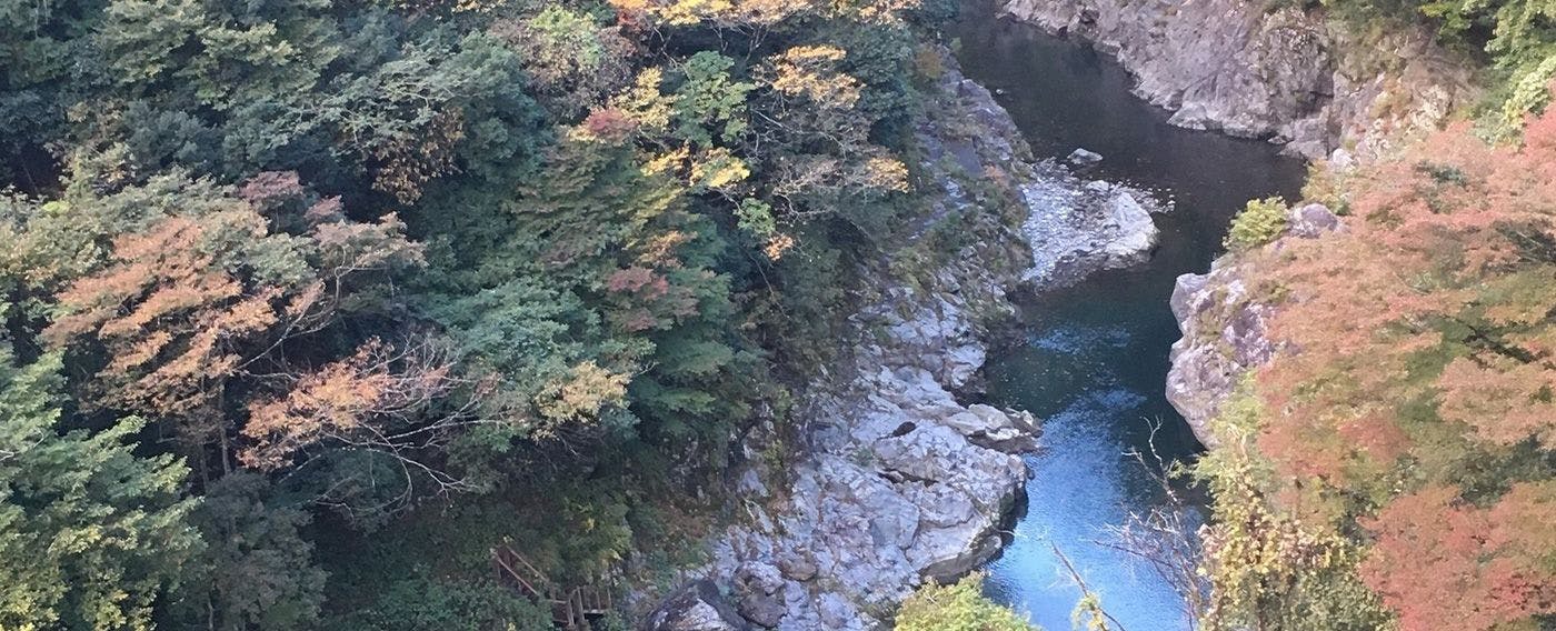 แม่น้ำทามะ