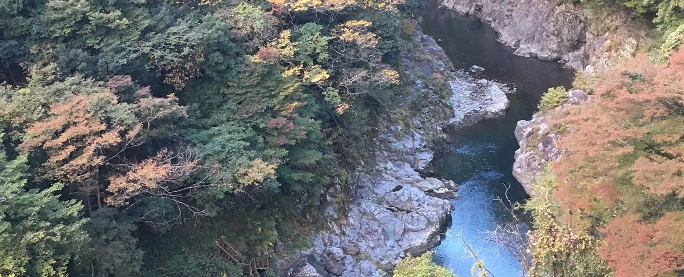 แม่น้ำทามะ