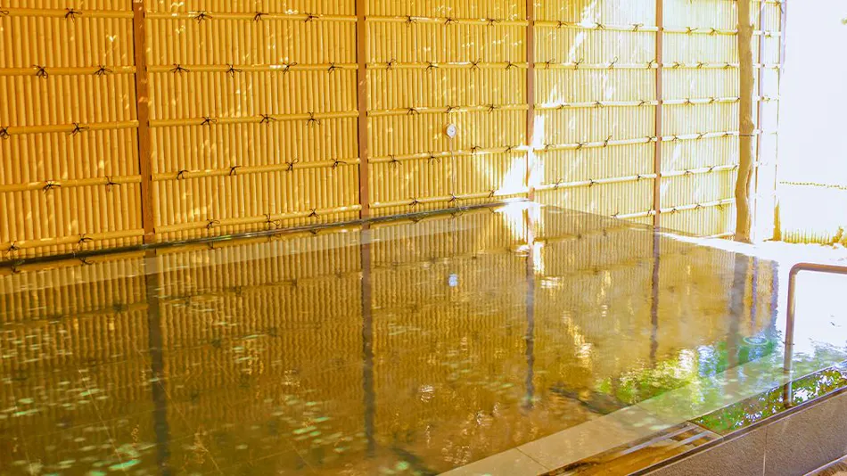 Ooedo Onsen Monogatari Premium Atami
