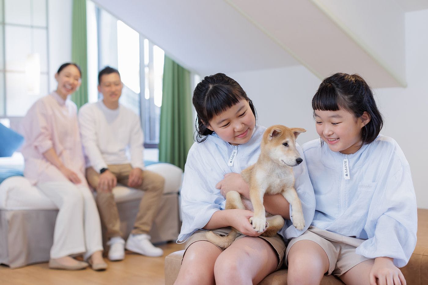 寵物房住宿示意圖