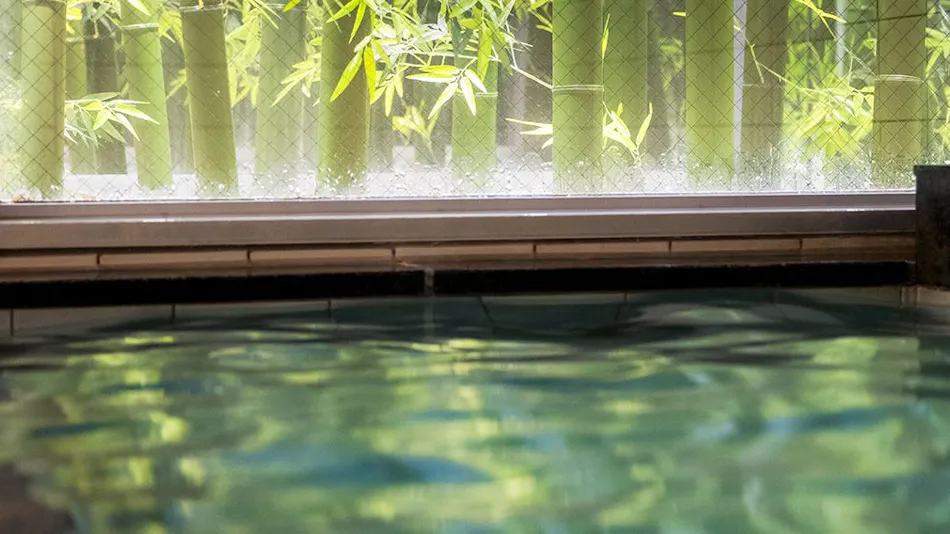 Natural Hot Spring Gozaisho-no-Yu Super Hotel Yokkaichi Route 1
