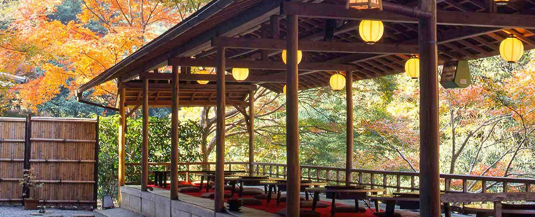 a_tpc_momiji
