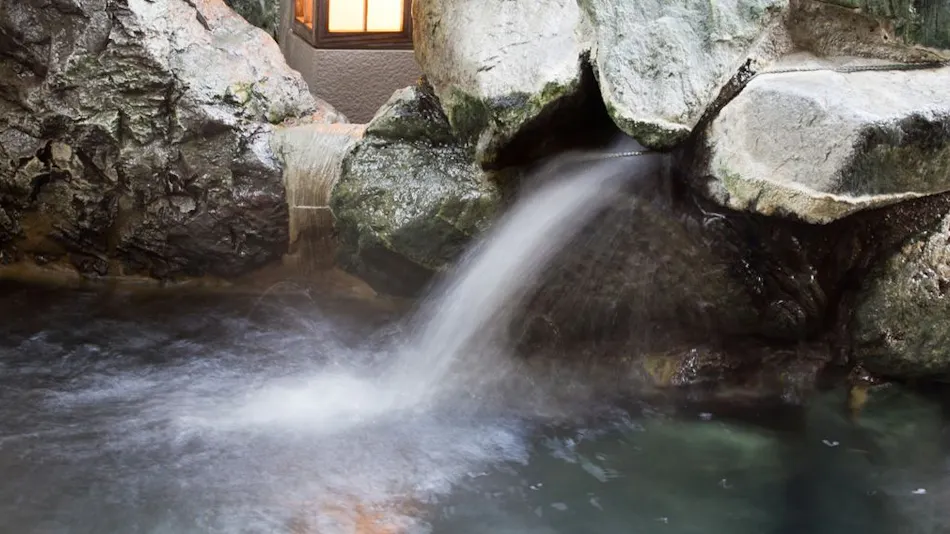 Ayameya Ryokan