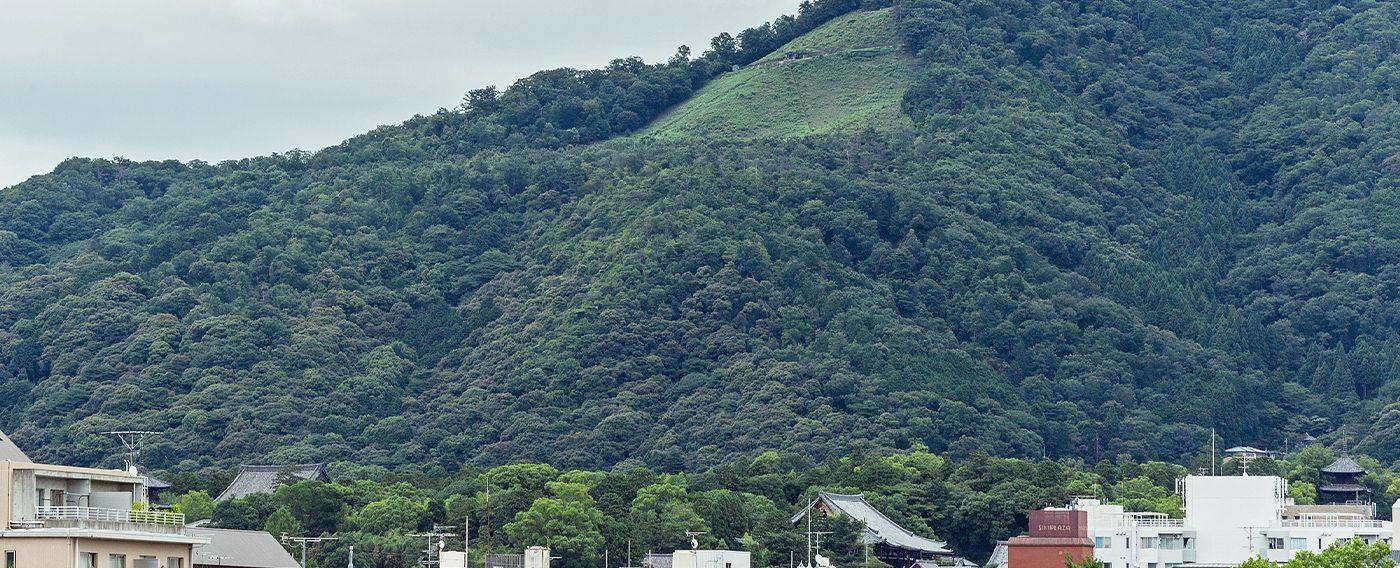Diamond Kyoto Society