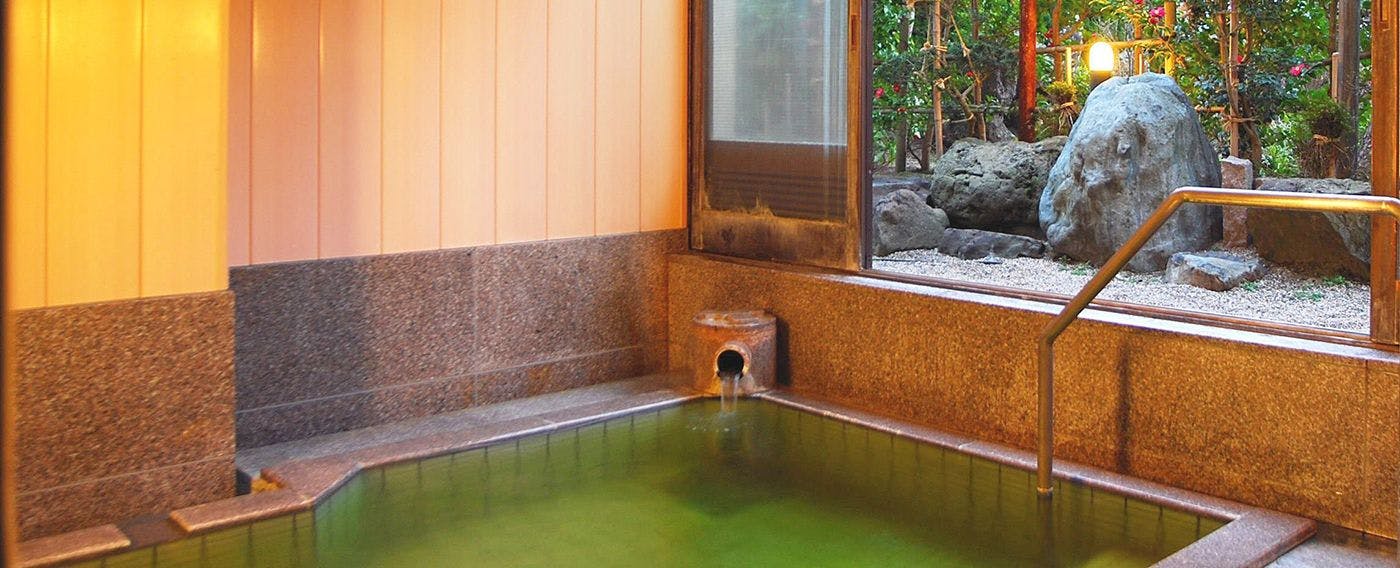 Tsukioka Onsen Hotel Hisagoso