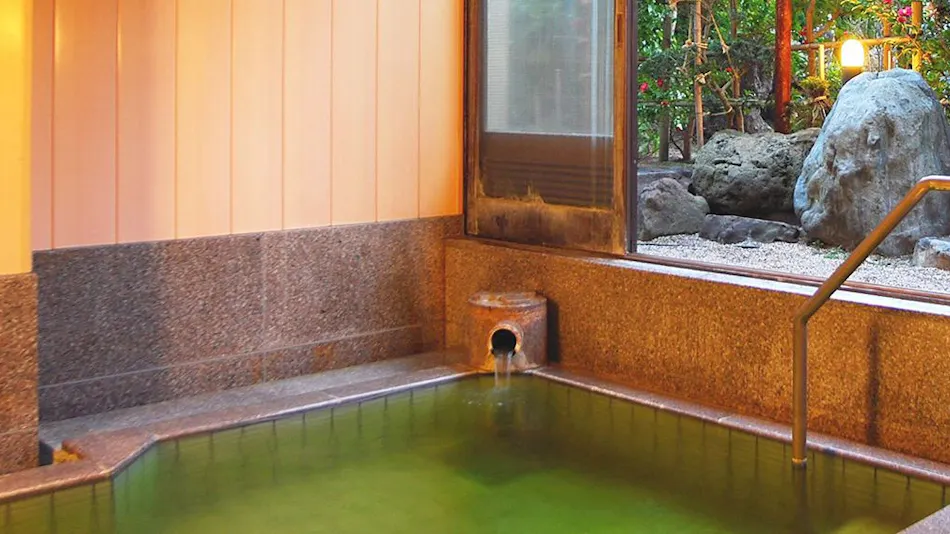 Tsukioka Onsen Hotel Hisagoso