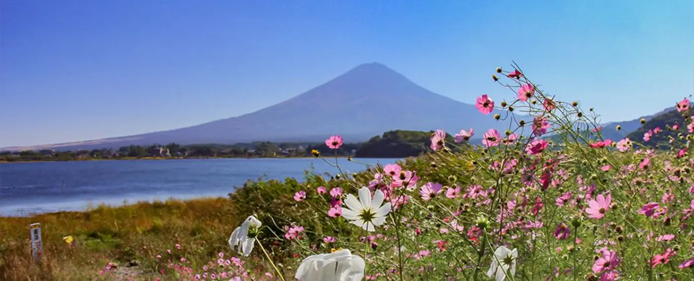 이미지 a_tpc_tp2_221111.jpg.jpg