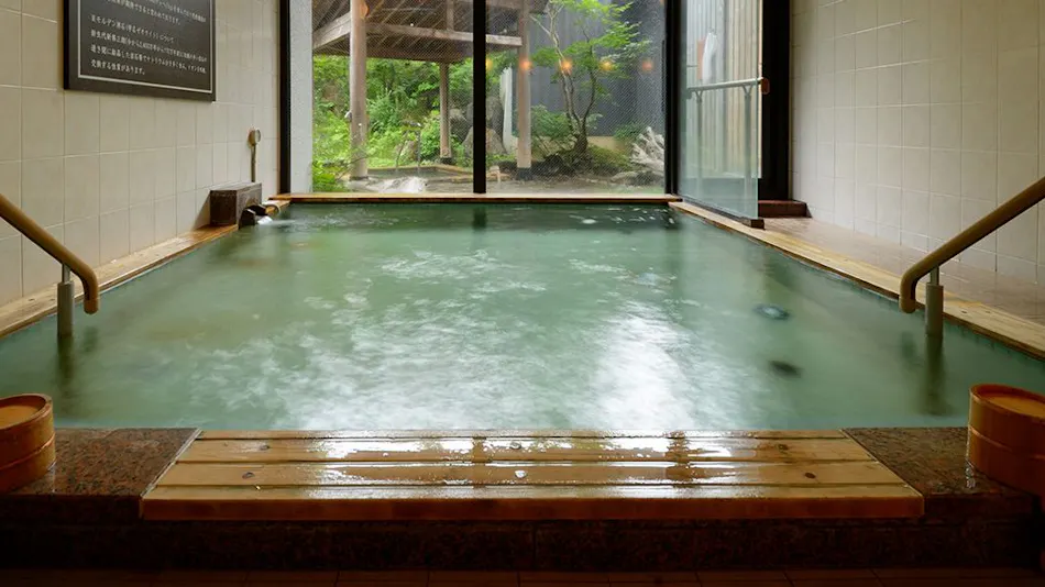 Appi Kogen Mori no Hotel