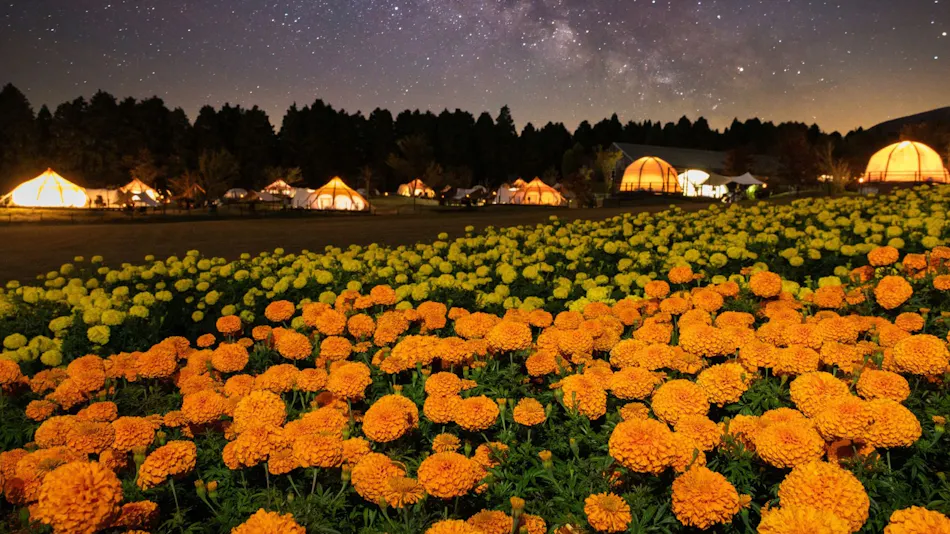 Kuju Flower Park Camping Resort Hana to Hoshi