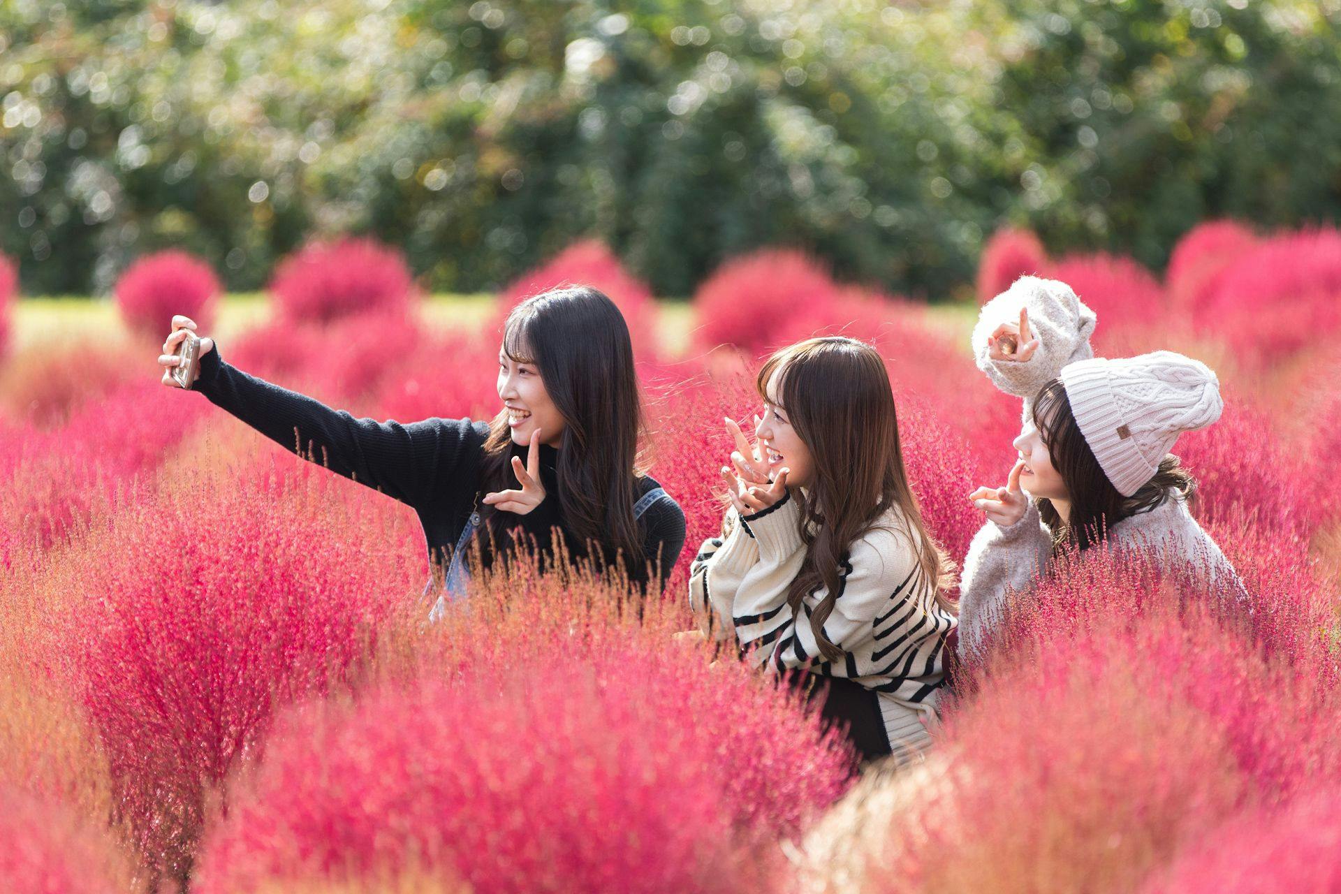 ทุ่งดอกไม้