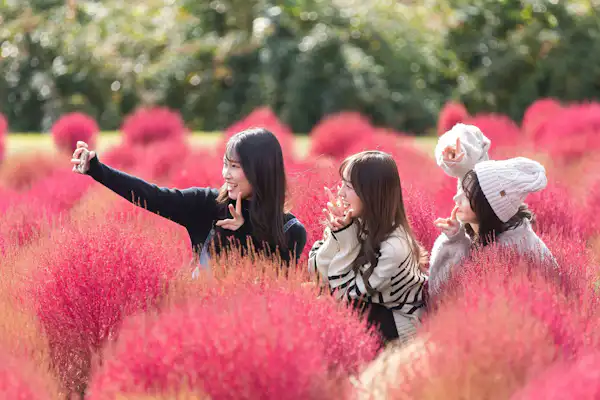 ทุ่งดอกไม้