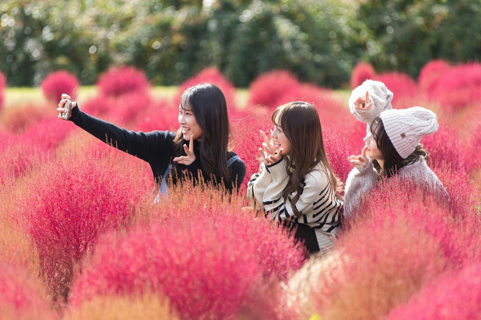 Kuju Flower Park Camping Resort Hana to Hoshi