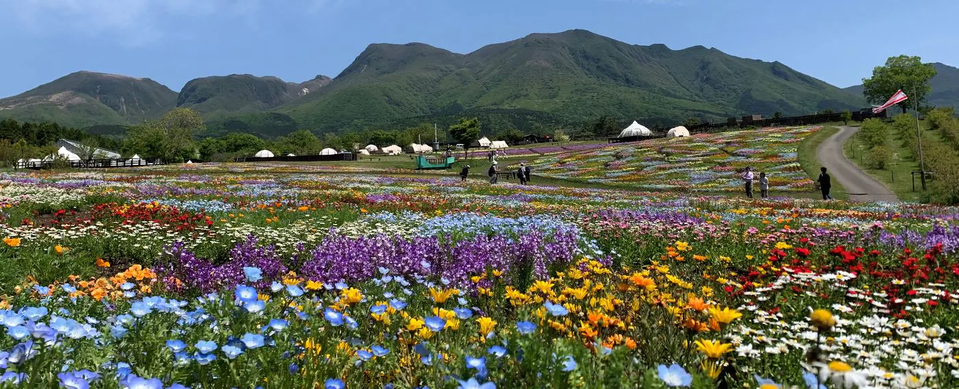 ทุ่งดอกไม้