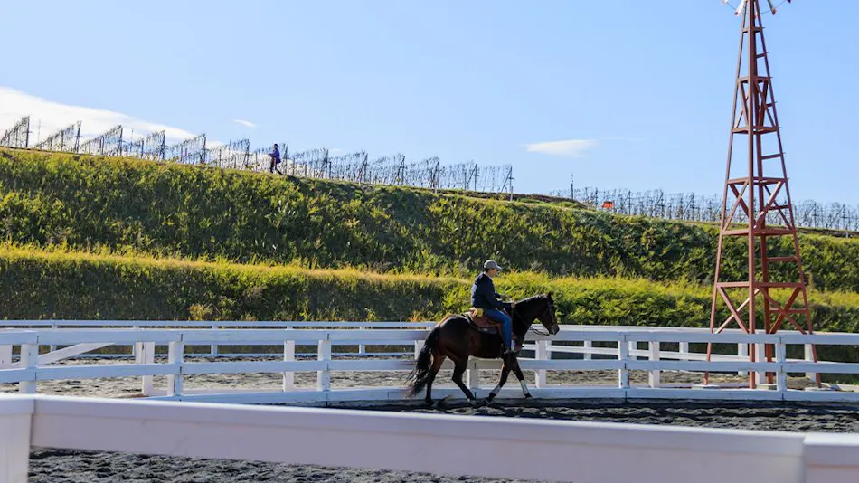 Nakaizu EAST WINDS VILLAGE