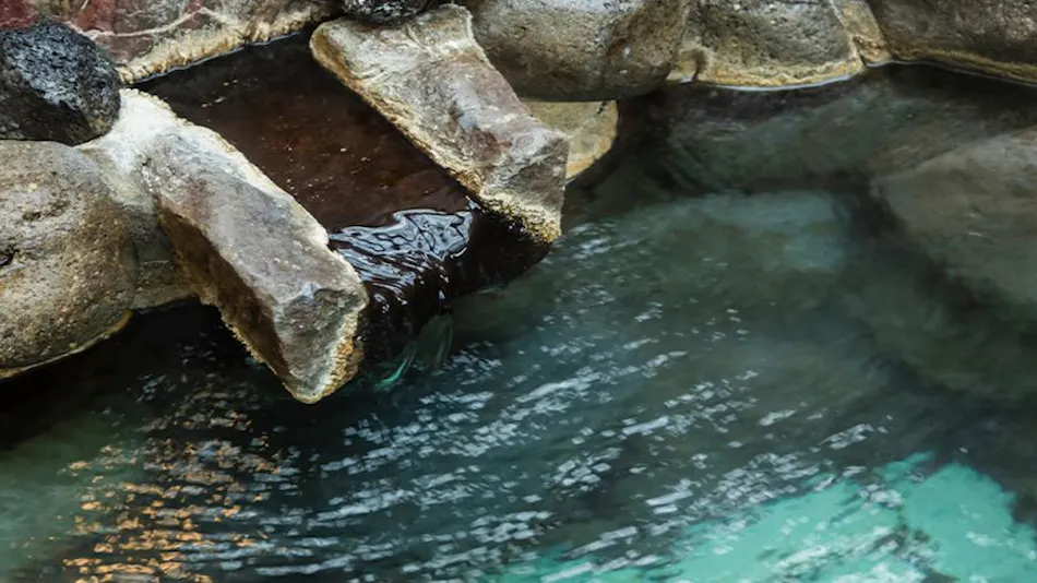 Izu Atagawa Onsen Miharuya