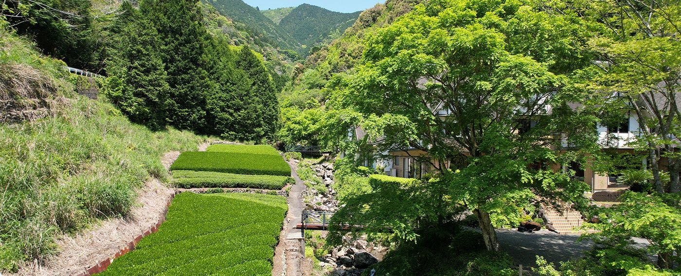 Hotel Rindou in the Fragrant Forest