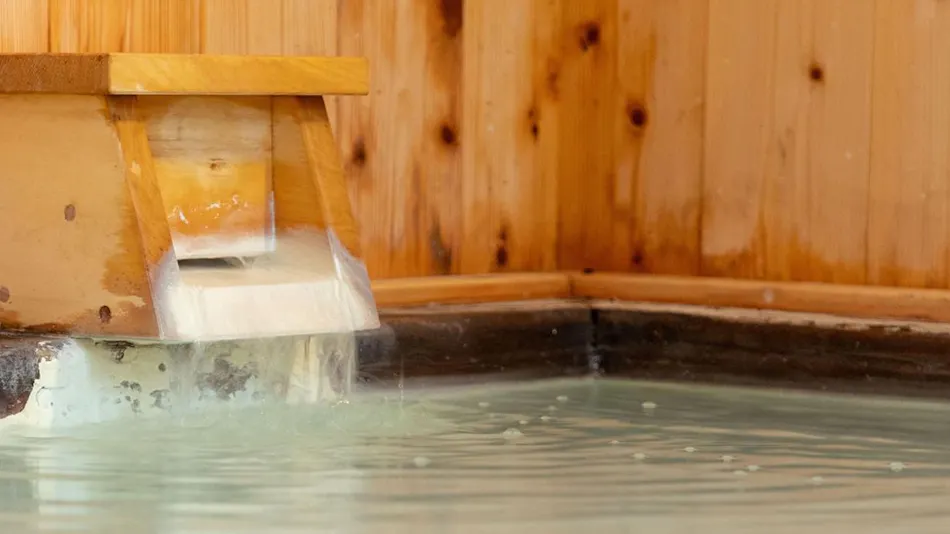 Onsen Ryokan KODAMA