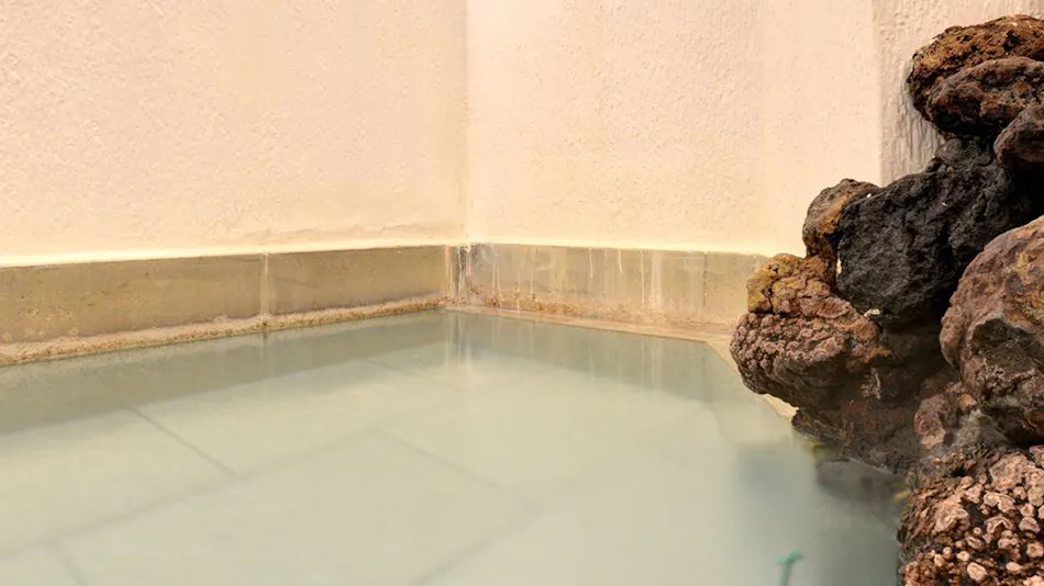 Kusatsu Onsen Two Types of Hot Springs Iijima Inn