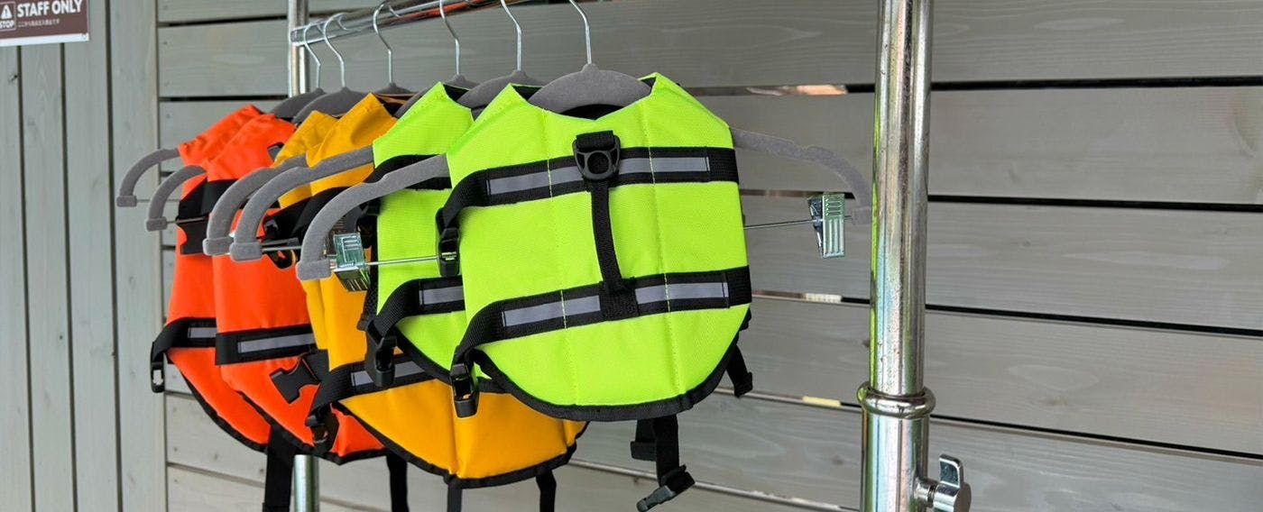 Jaket pelampung untuk anjing