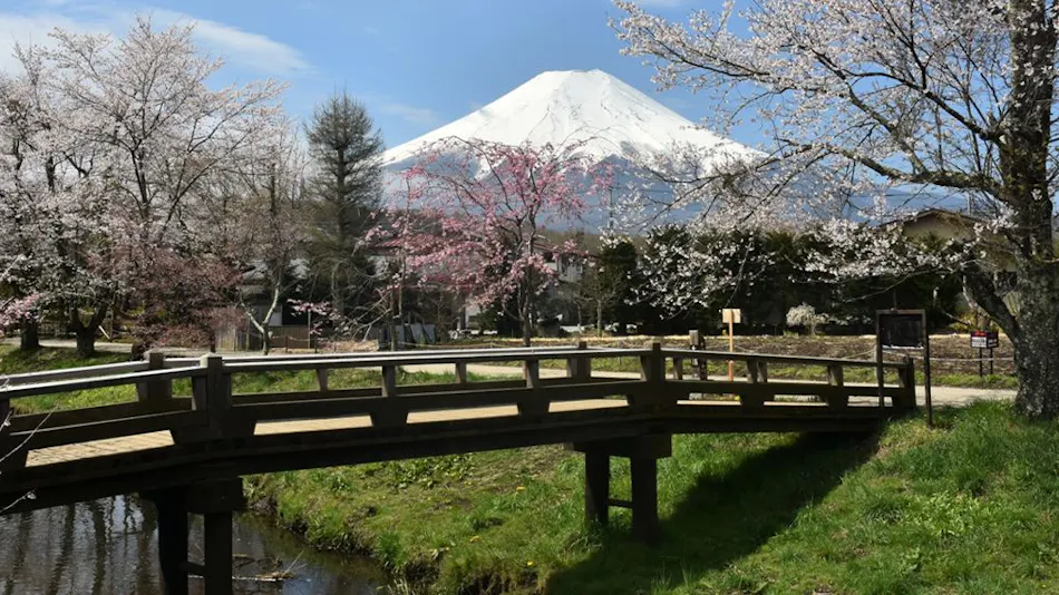 Mt. FUJI RESORT GLAMPING Yamanakako