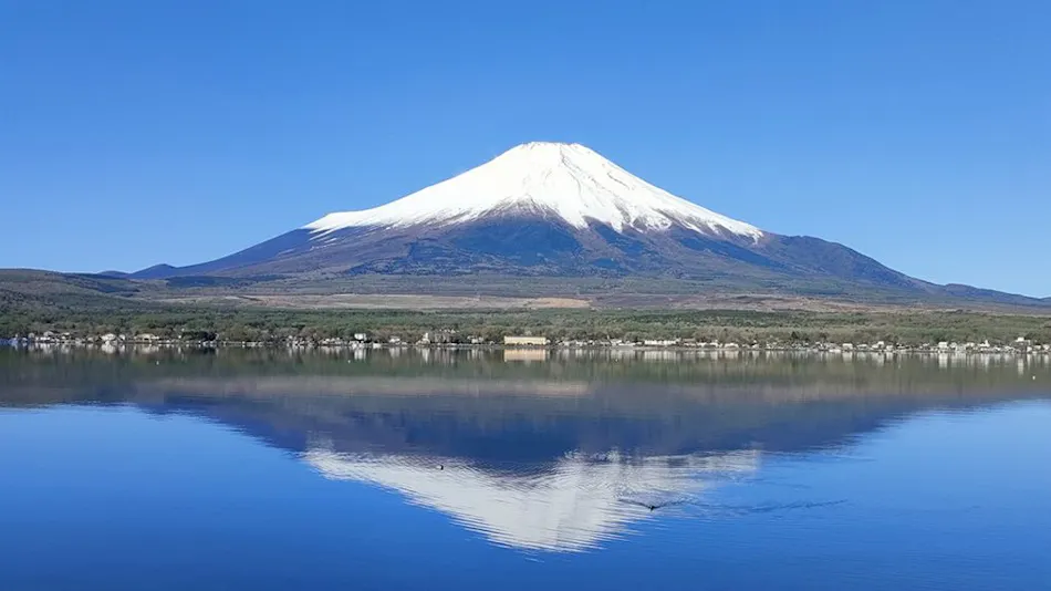 Mt. FUJI RESORT GLAMPING Yamanakako