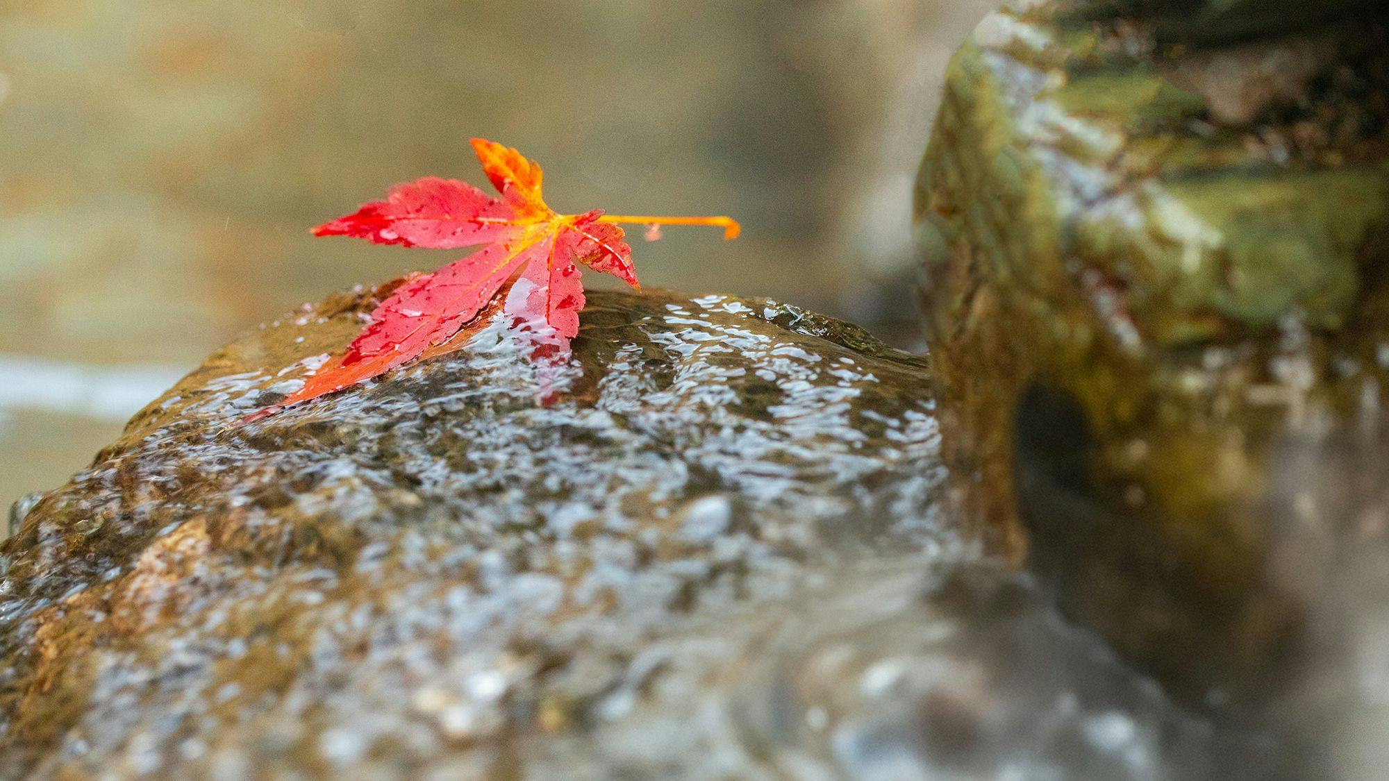 เป็นธรรมชาติ