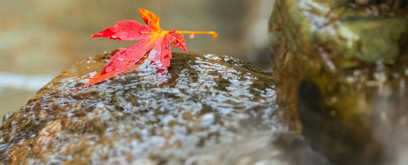 เป็นธรรมชาติ