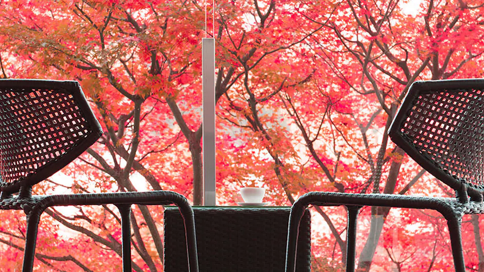 Kinugawa Kanaya Hotel
