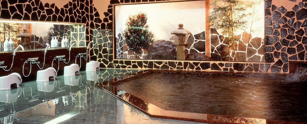 Lakeside Inn Yoshida House