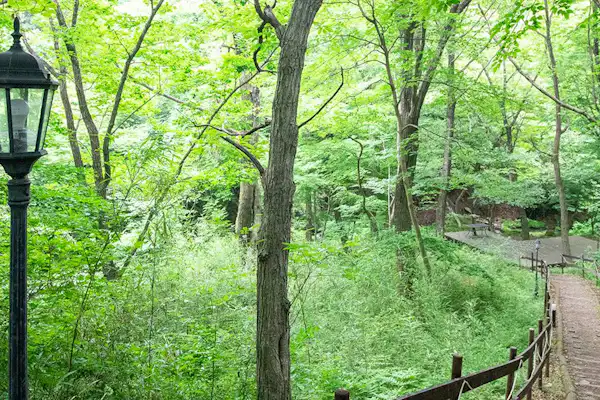 Streamside Walking Trail