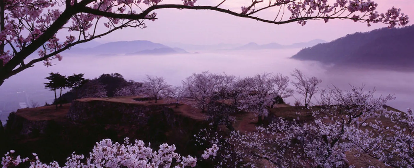 写真提供 吉田利栄