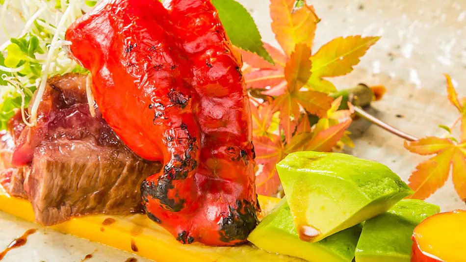 Hakone Ashinoko Onsen Washintei Hougetsu