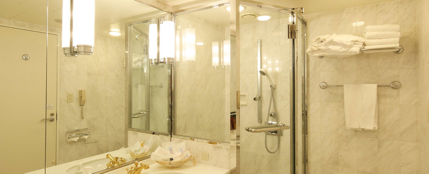 Tokyo Dai-ichi Hotel Nishiki