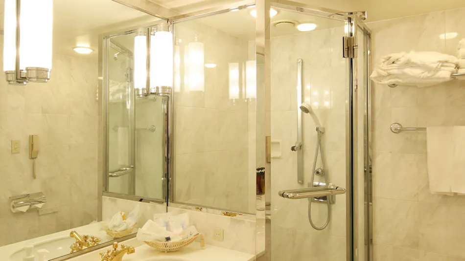 Tokyo Dai-ichi Hotel Nishiki