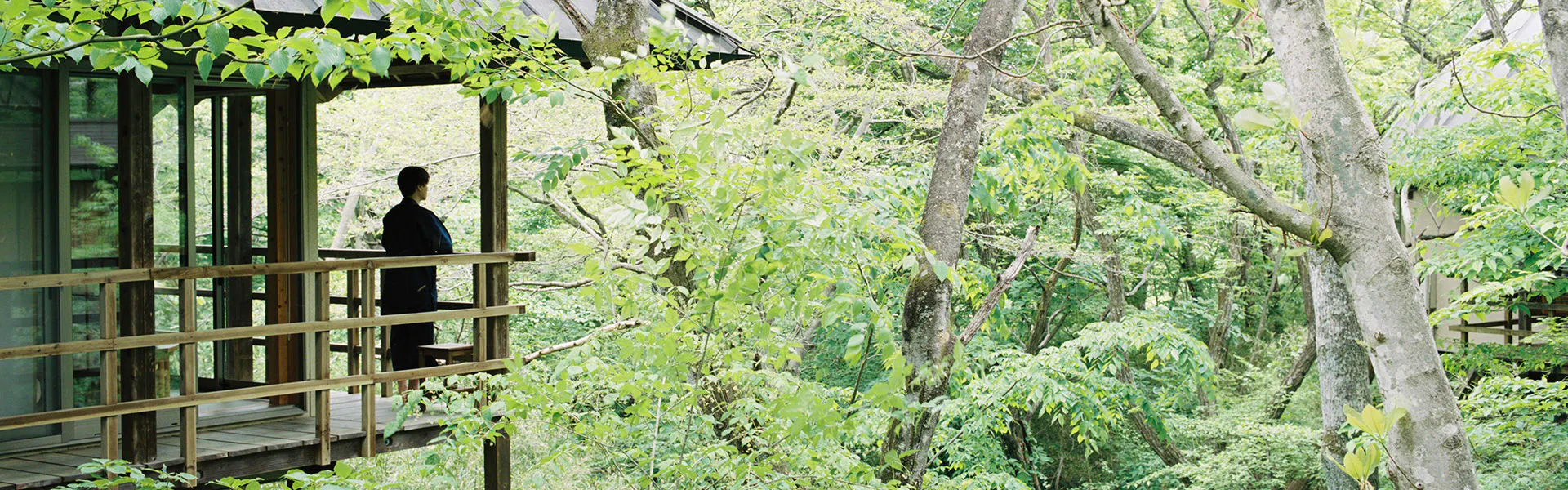 温泉山荘だいこんの花