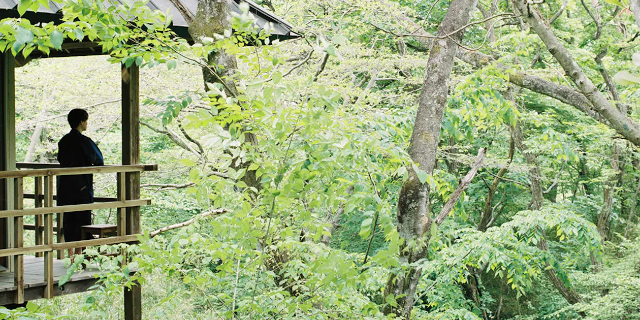 温泉山荘だいこんの花 — 一休.comでこの宿を見る(広告)