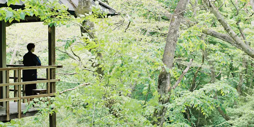 温泉山荘だいこんの花