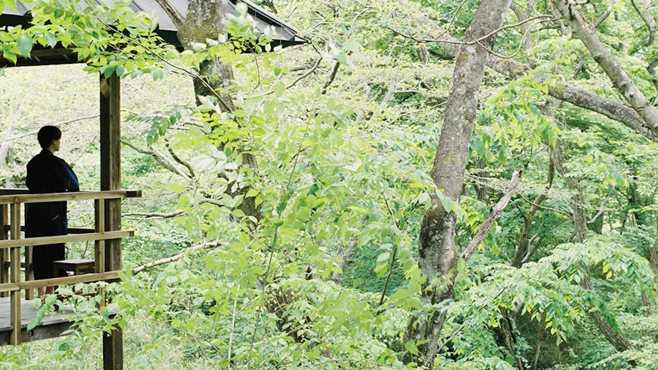 Onsen Sansou Daikon no Hana