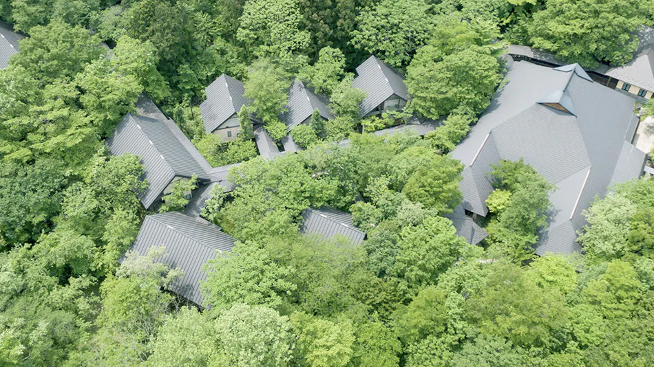 Onsen Sansou Daikon no Hana