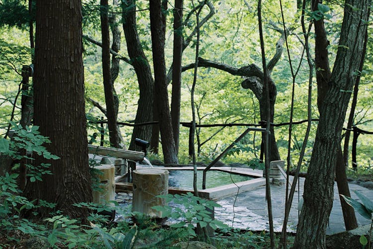 温泉山荘だいこんの花 の空室状況を確認する 宿泊予約は 一休 Com 温泉山荘だいこんの花 の空室状況を確認する 宿泊予約は 一休 Com