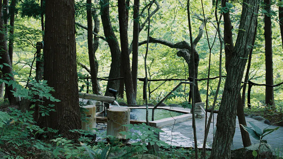 Onsen Sansou Daikon no Hana