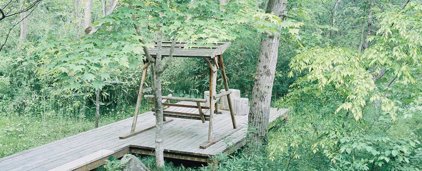 野を愛でる「つめ草」