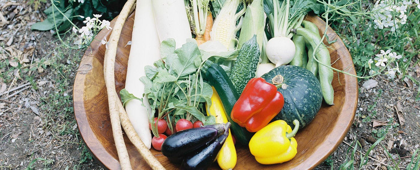 地元や自家農園で採れた野菜が主役