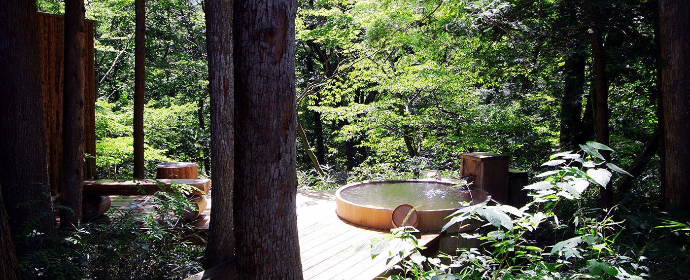 Onsen Sansou Daikon no Hana